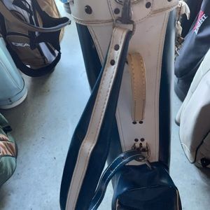 Spalding golf cart bag with divider poles